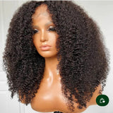 Curly Lace Wigs
